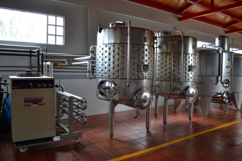 cave-LUCERAM-min_wine_production_cantine_winery_drink_alcohol_vine_beverage-902036